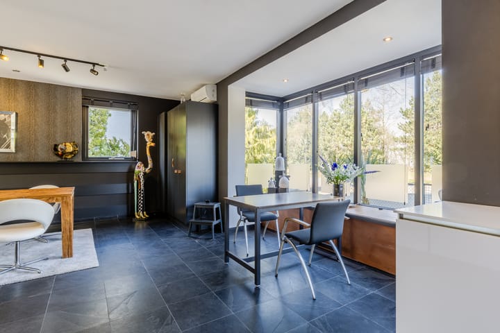 Photo 21 of Zandhagedis 38