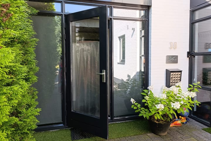 Photo 22 of Zandhagedis 38