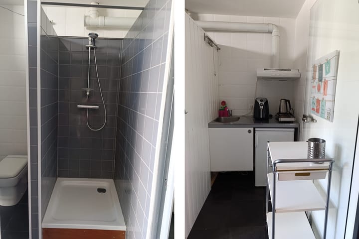 Photo 24 of Zandhagedis 38