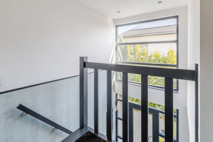 Photo 27 of Zandhagedis 38