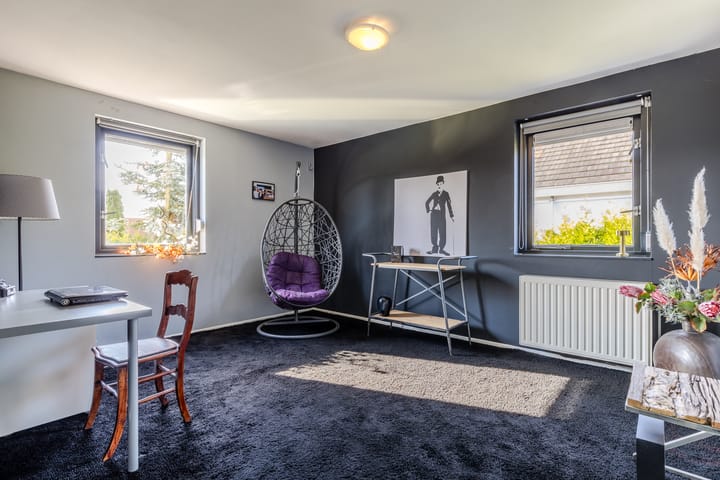 Photo 32 of Zandhagedis 38