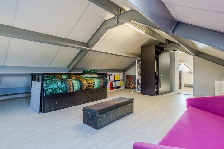 Photo 39 of Zandhagedis 38