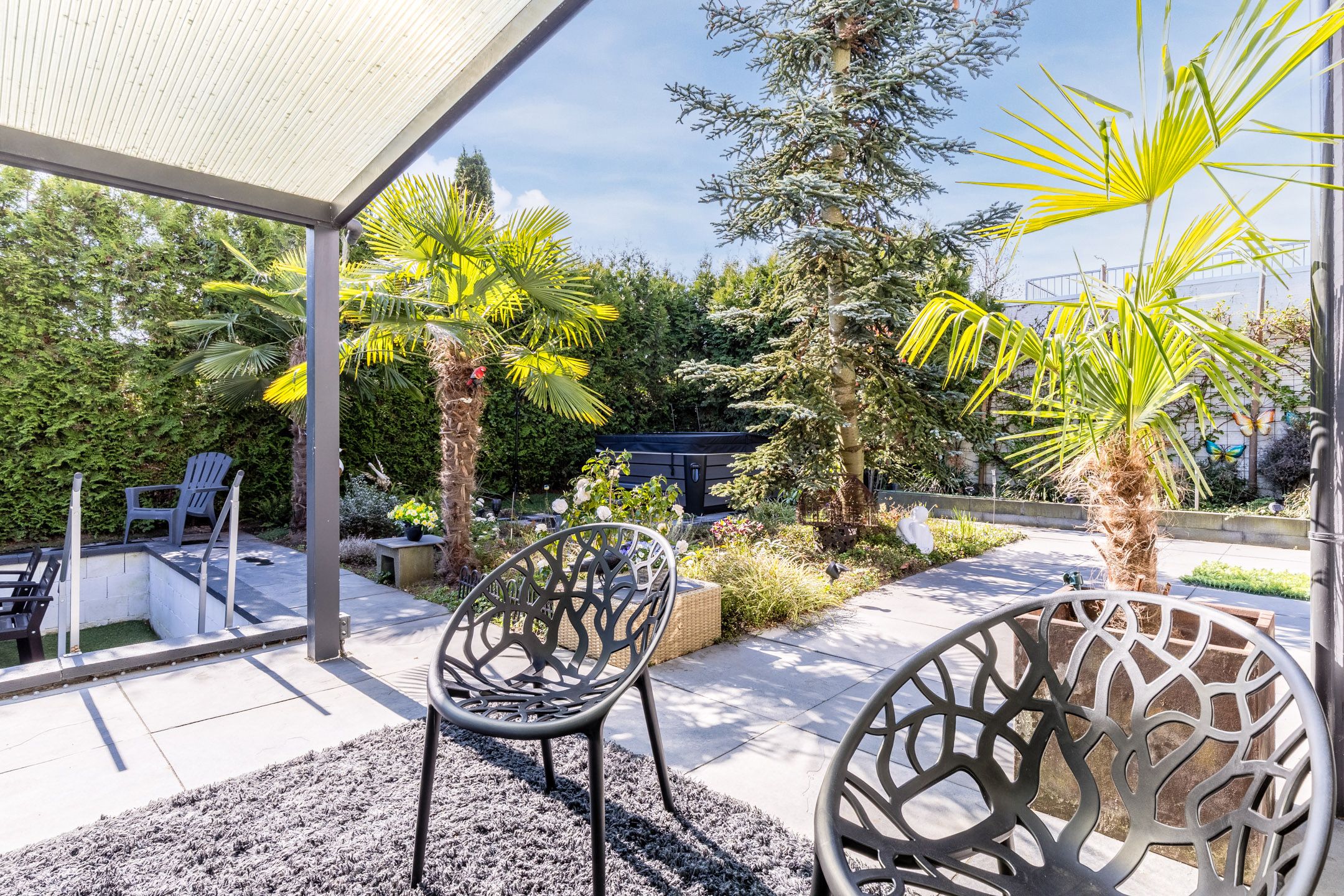 Foto 42 van Zandhagedis 38