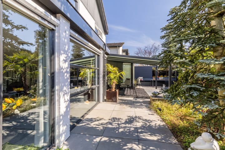 Photo 43 of Zandhagedis 38