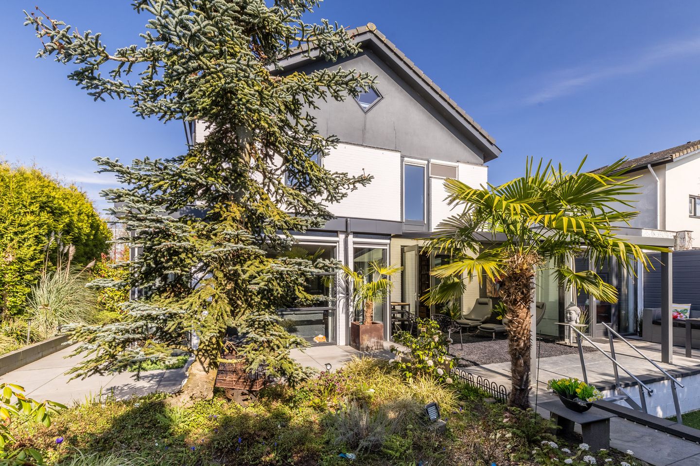 Foto 44 van Zandhagedis 38