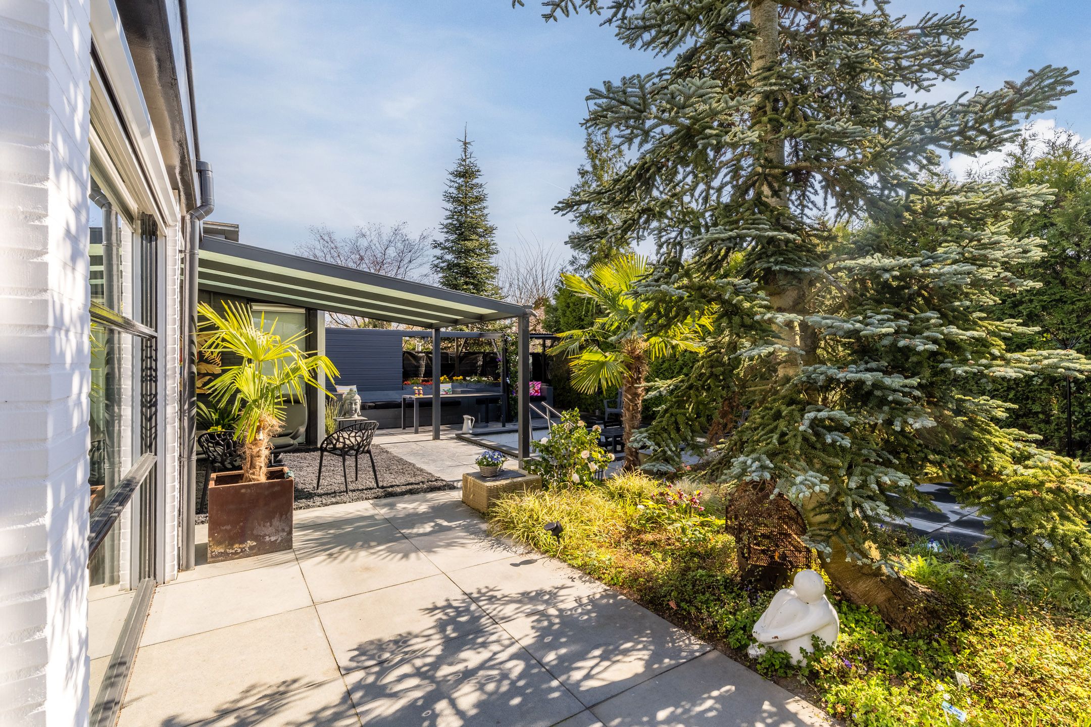 Foto 45 van Zandhagedis 38