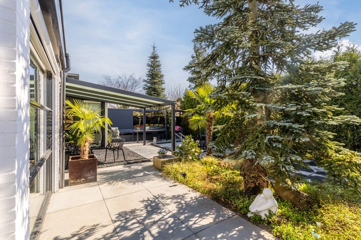 Photo 45 of Zandhagedis 38