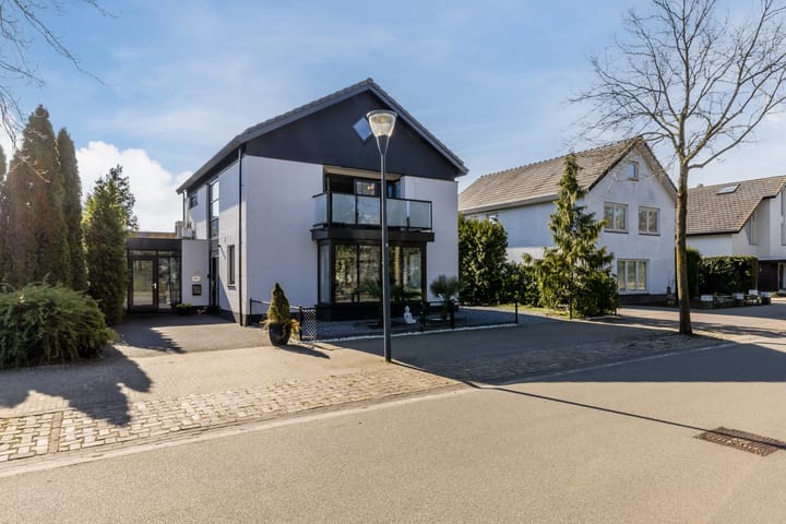 Photo 47 of Zandhagedis 38