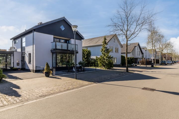 Photo 48 of Zandhagedis 38