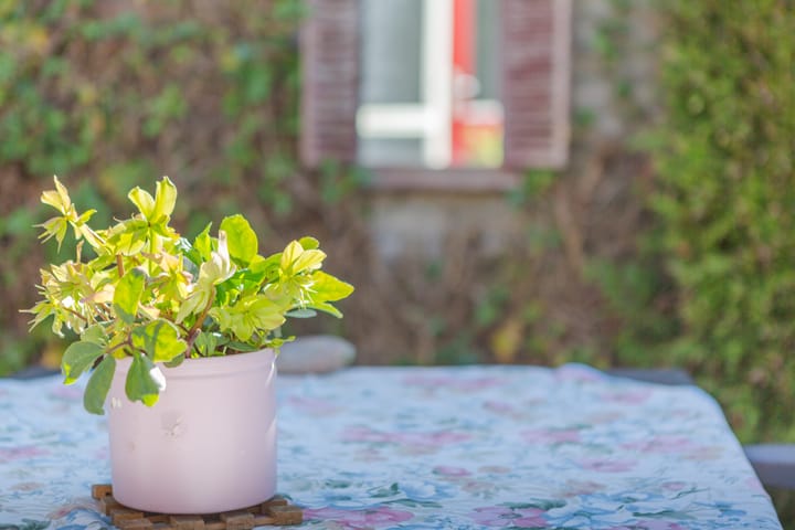 Foto 9 van Brédyk 9