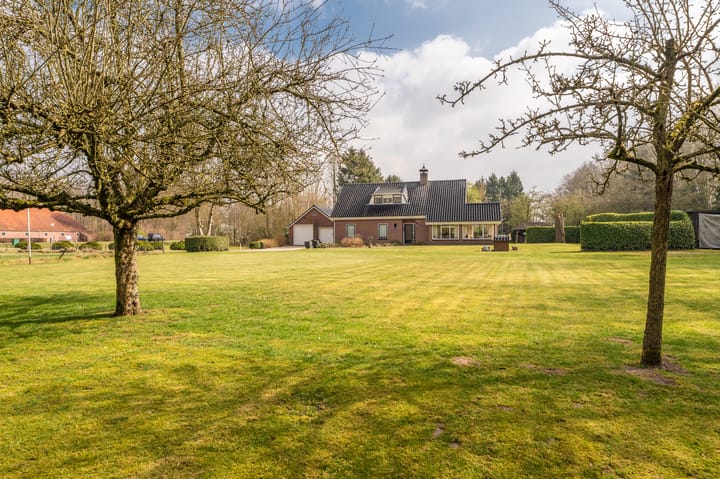 Foto 9 van Lutjeloosterweg 11