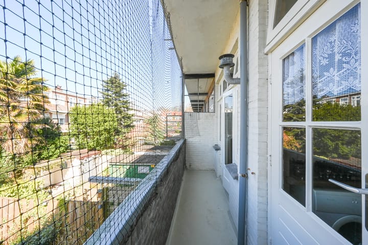 Foto 17 van Dautzenbergstraat 81