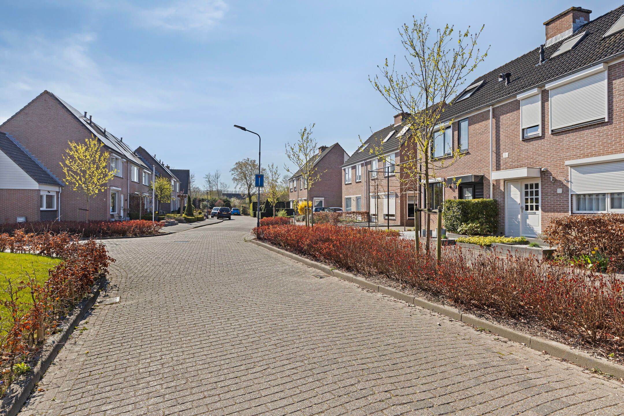 Foto 3 van Goudenregenstraat 10