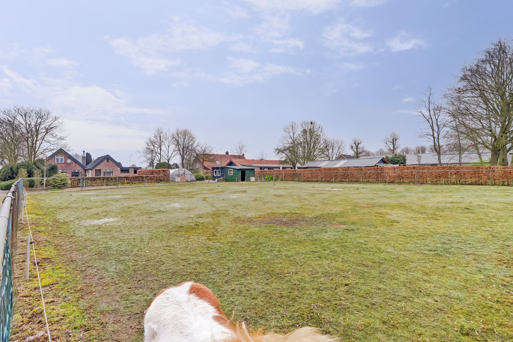 Foto 6 van Bavelseweg 129