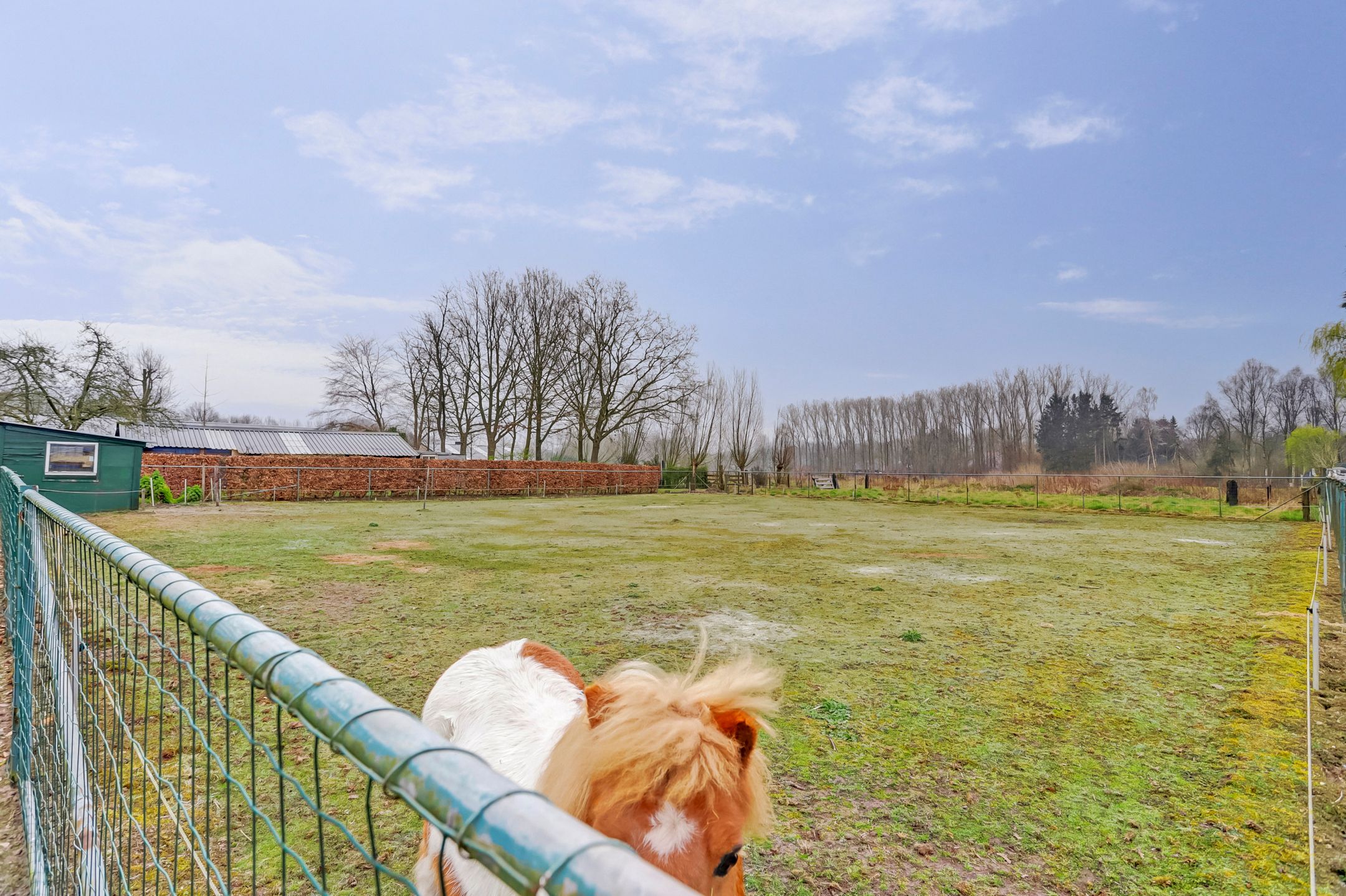 Foto 51 van Bavelseweg 129