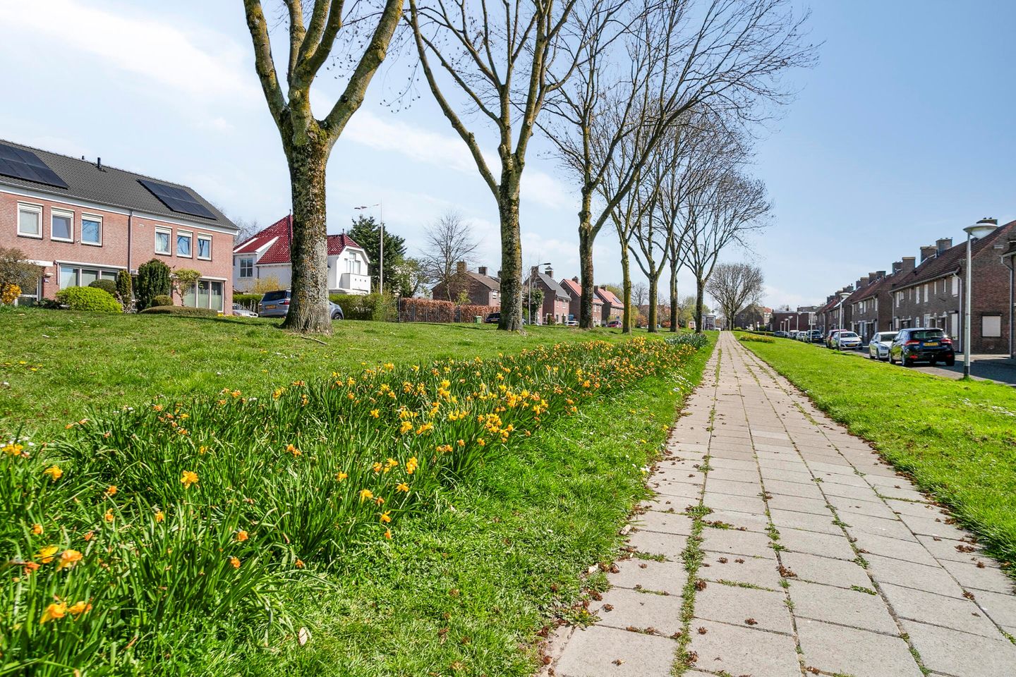 Foto 44 van Noordzeedijk 57