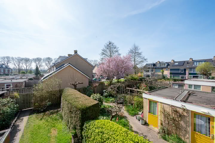 Foto 20 van Dronenpark 18