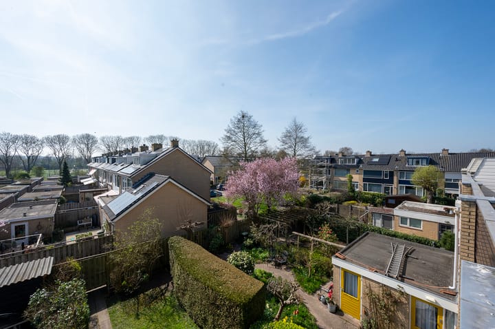 Foto 32 van Dronenpark 18