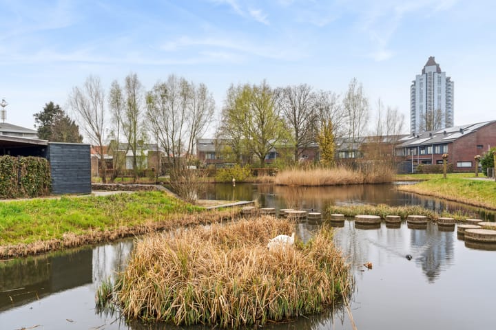 Foto 31 van de Wetstraat 127