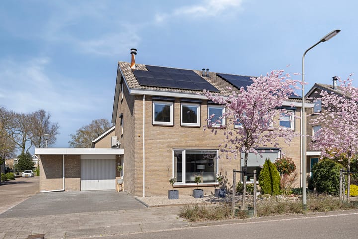 Foto 7 van Adelaar 91