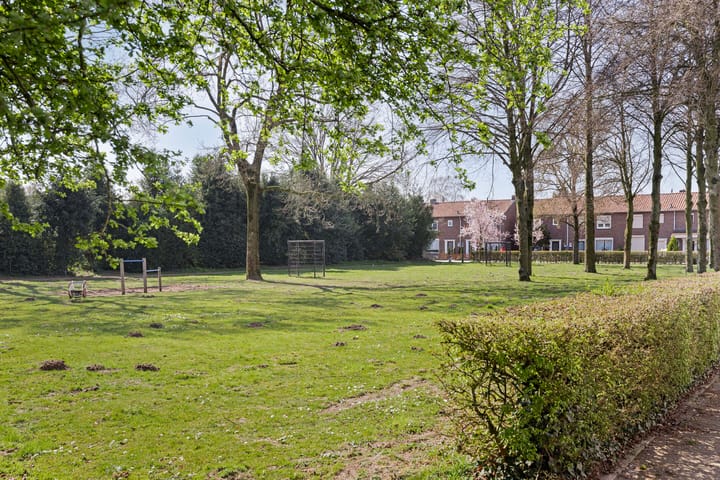 Foto 43 van Adelaar 91