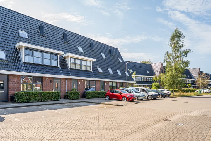 Photo 5 of Samuel de Marezhof 5