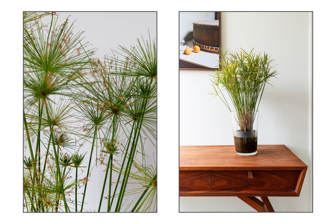 Foto 28 van Pastor Stockmannhof 7