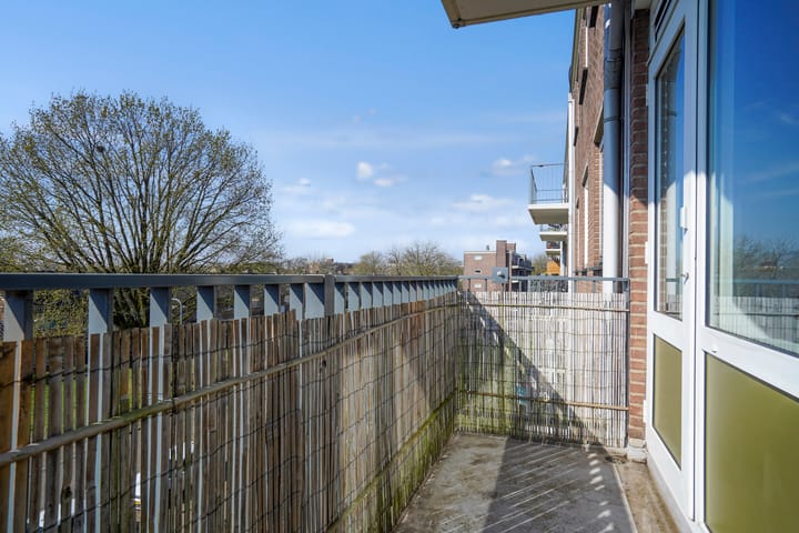 Foto 9 van Maassingel 382