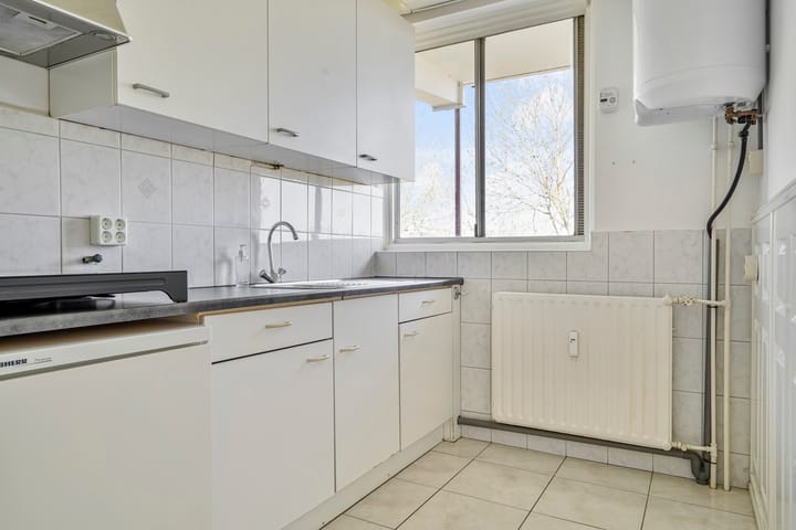 Foto 11 van Maassingel 382