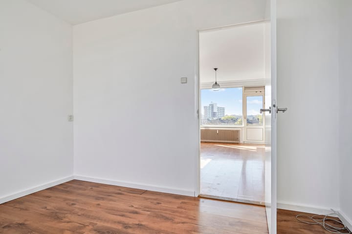 Foto 16 van Maassingel 382