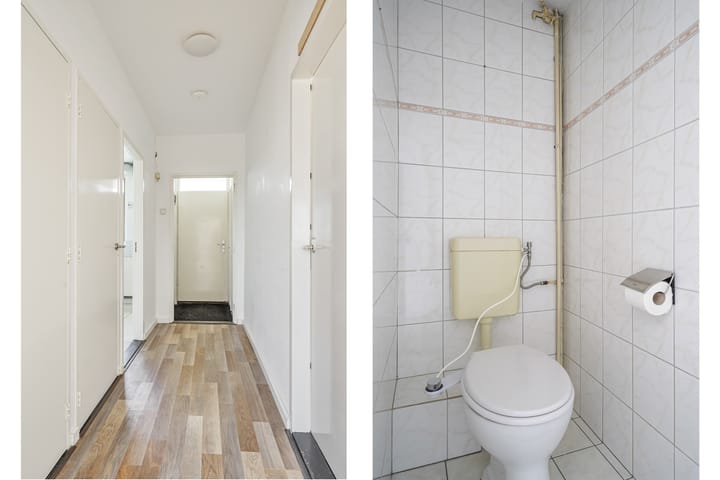 Foto 21 van Maassingel 382