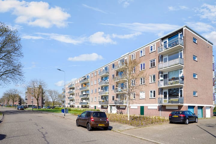 Foto 27 van Maassingel 382