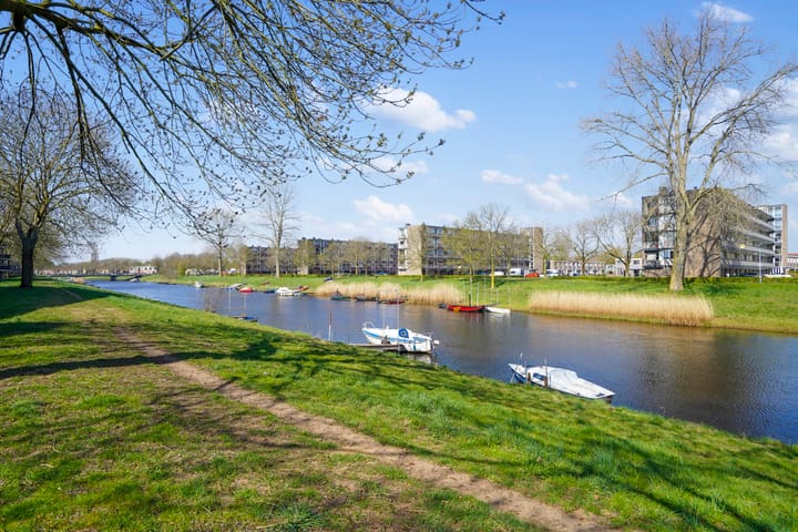 Foto 28 van Maassingel 382