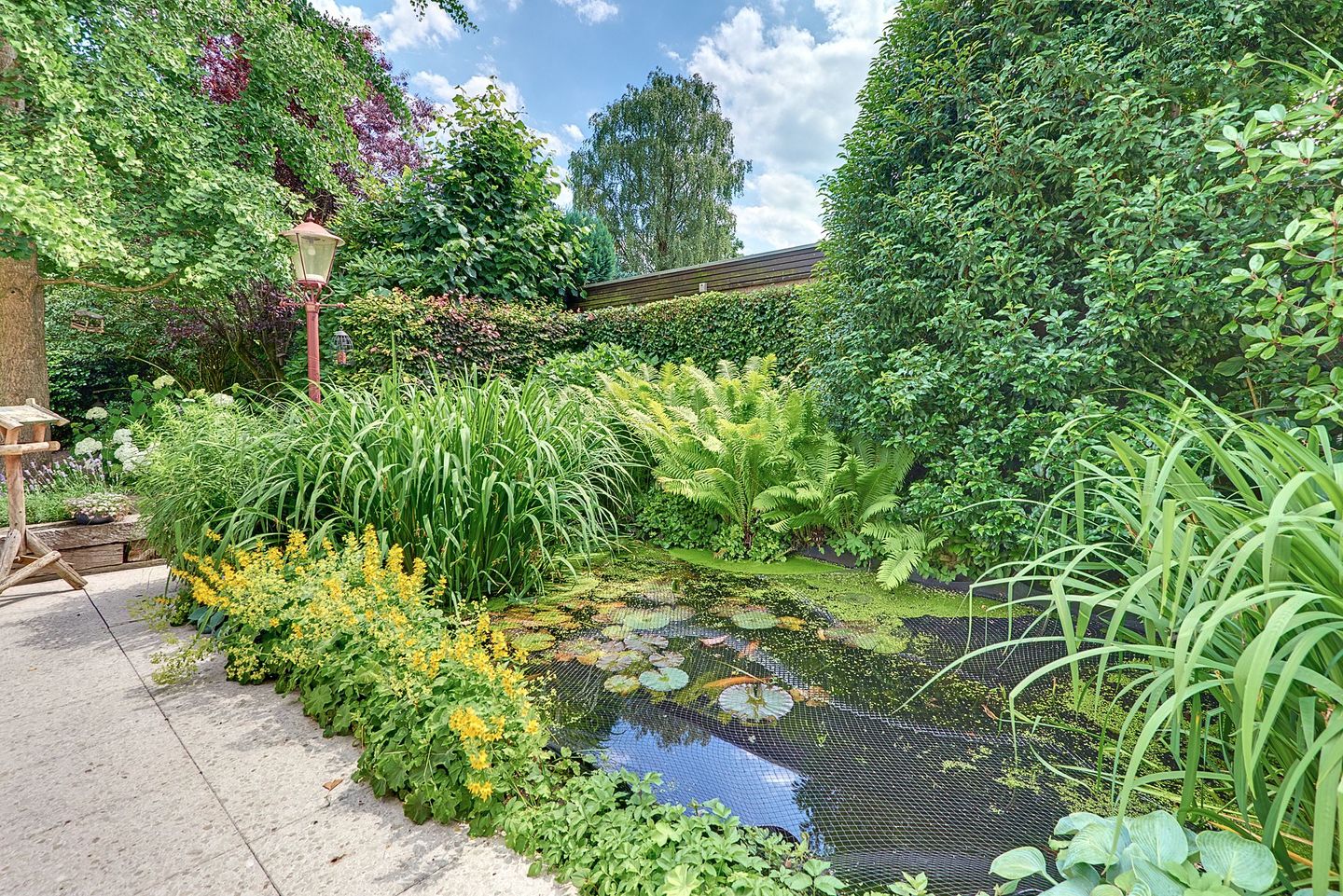 Foto 80 van Rooseveltlaan 19