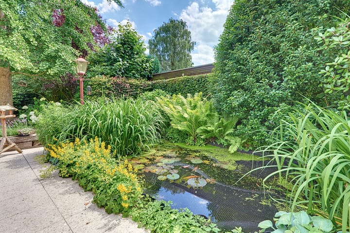 Foto 80 van Rooseveltlaan 19