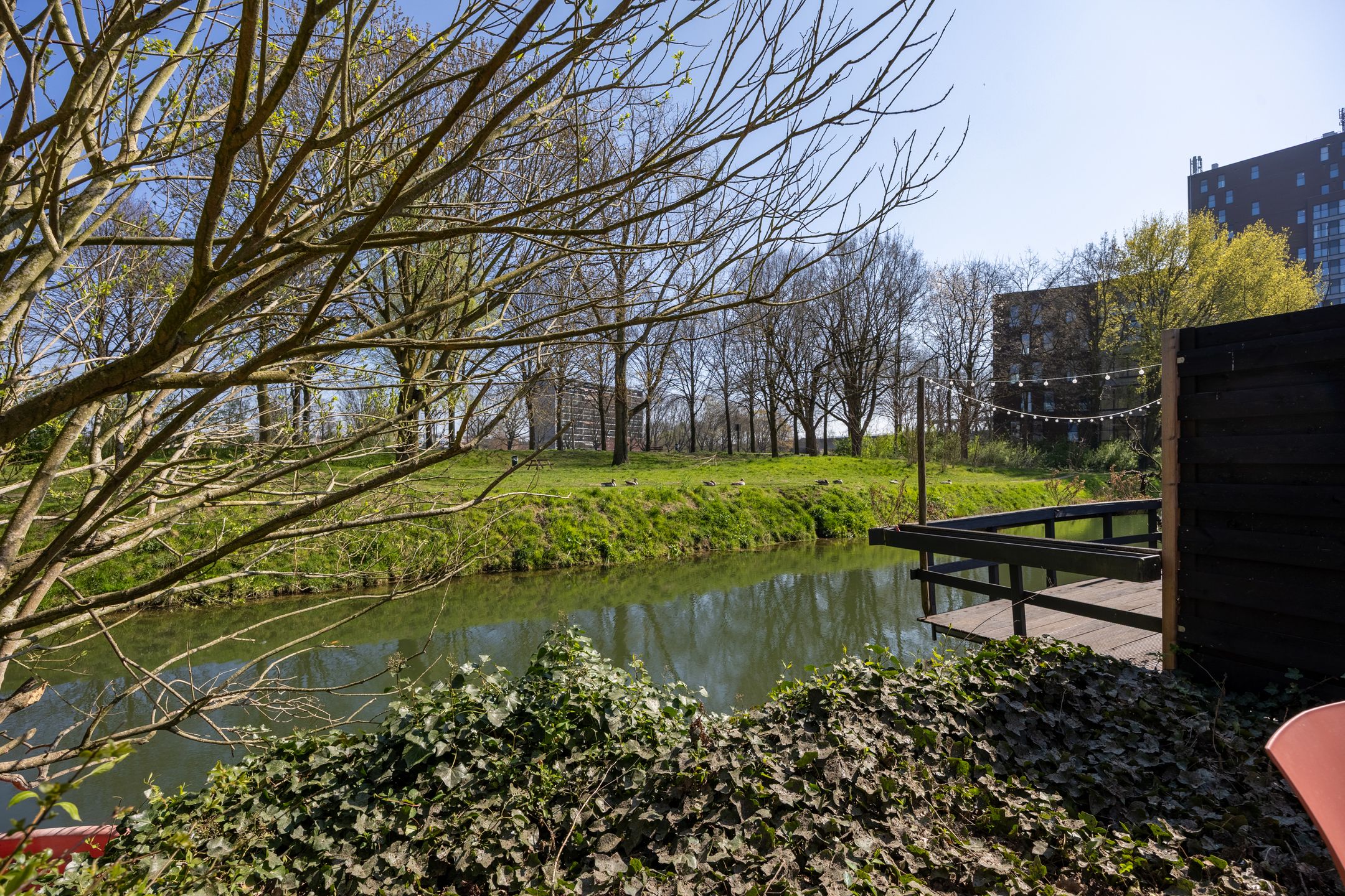 Foto 42 van de Kluijskamp 1253