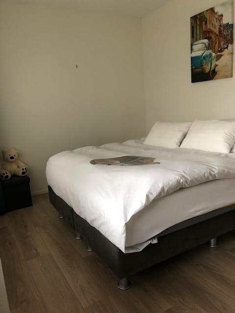 Foto 7 van Ir. Kippermanstraat 26