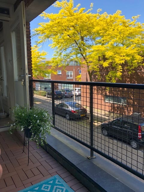 Foto 13 van Ir. Kippermanstraat 26