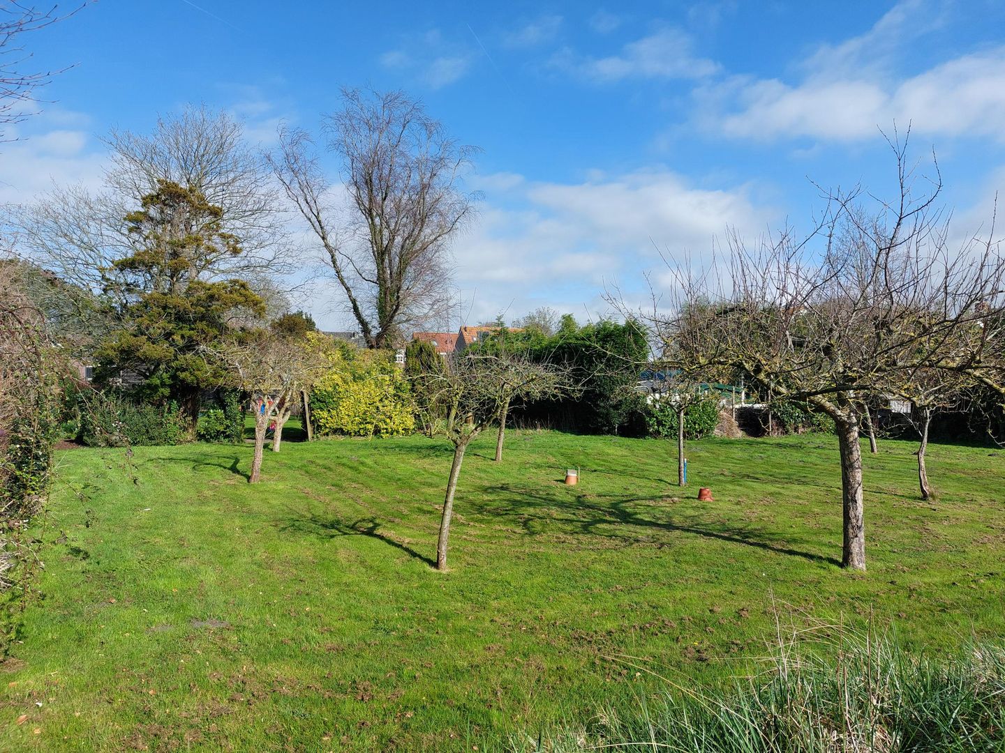 Foto 5 van Domineesbosje