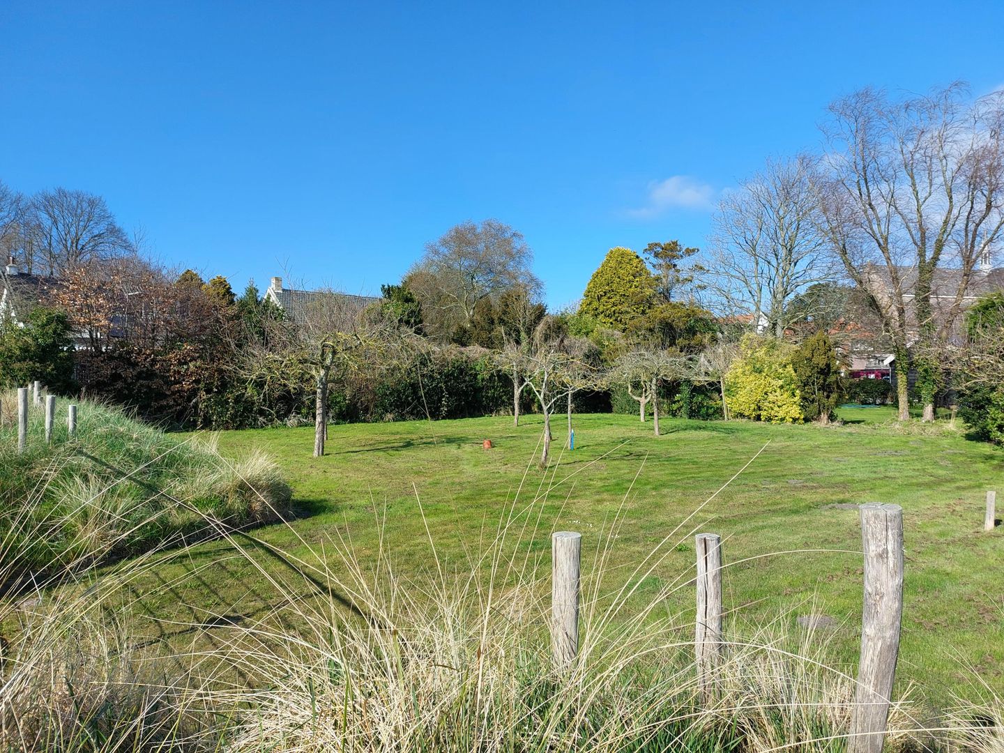 Foto 4 van Domineesbosje