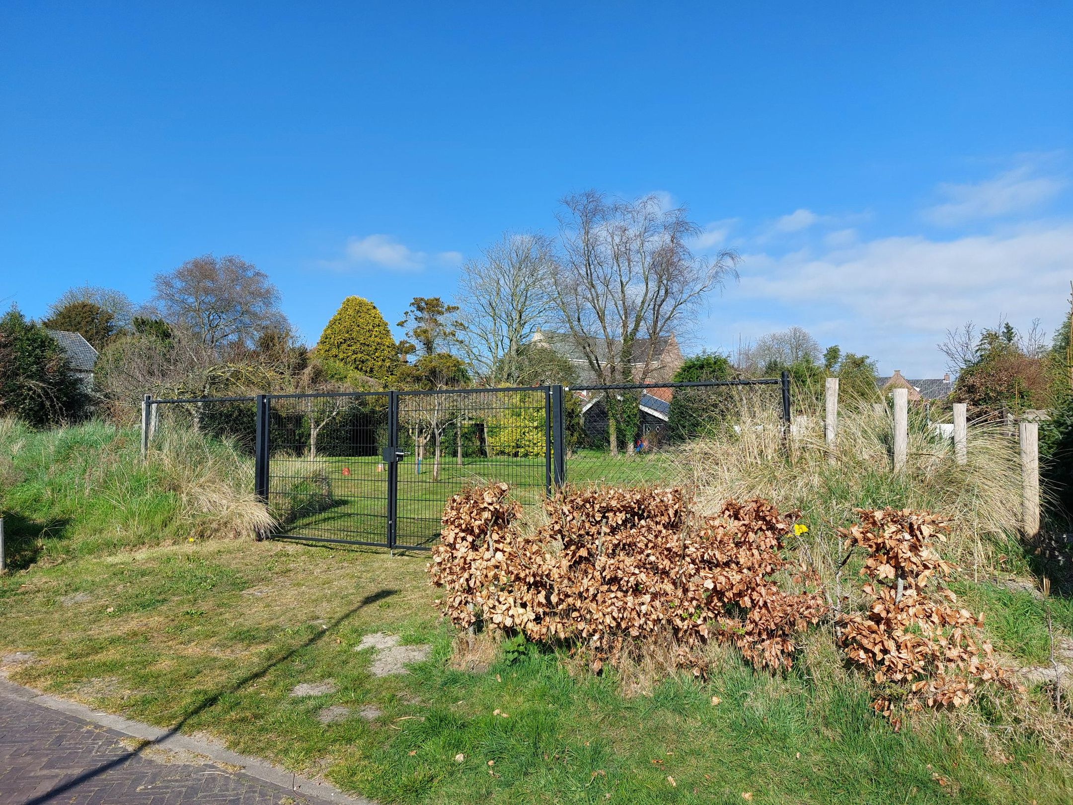 Foto 3 van Domineesbosje