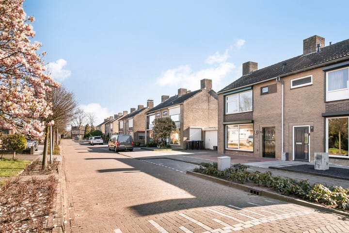 Foto 45 van Pieter van Botlantlaan 4