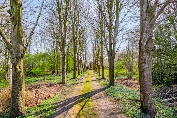 Foto 4 van Schipslootweg 2