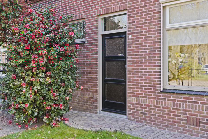 Foto 6 van Drieterskuil 3