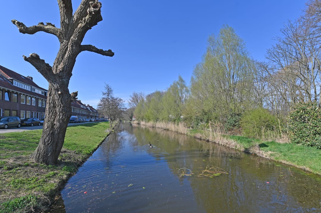 Foto 46 van Zestienhovensekade 411