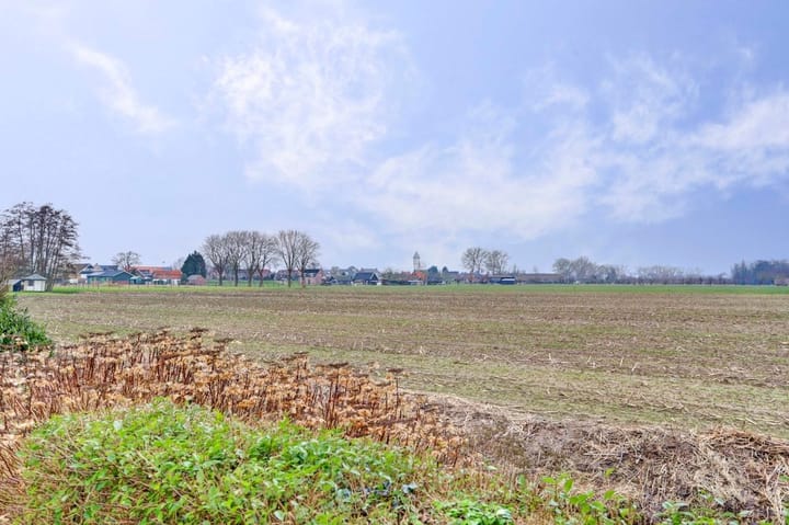 Foto 34 van Scheepjesbrug 203