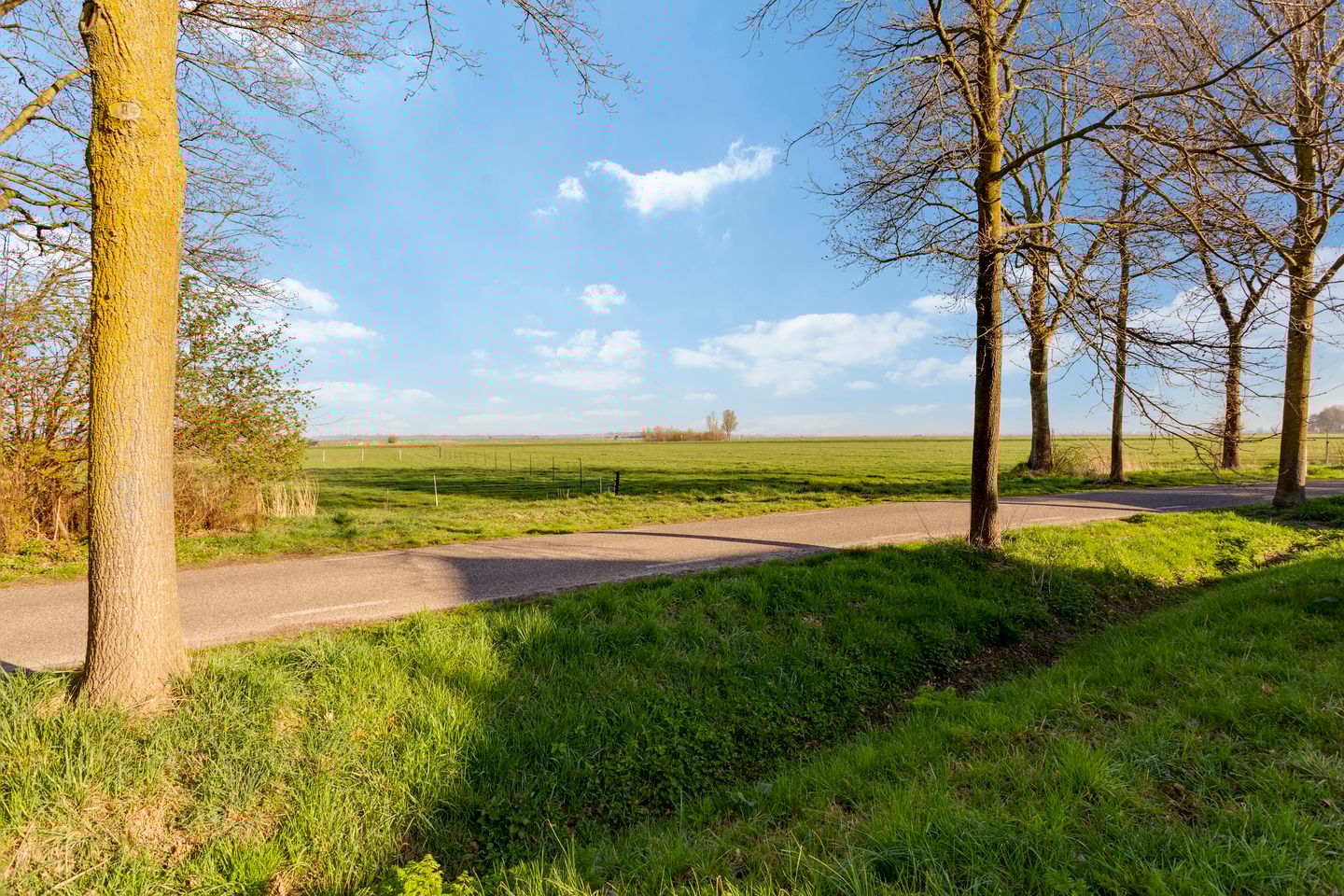 Photo 44 of Schokkerstraat 129