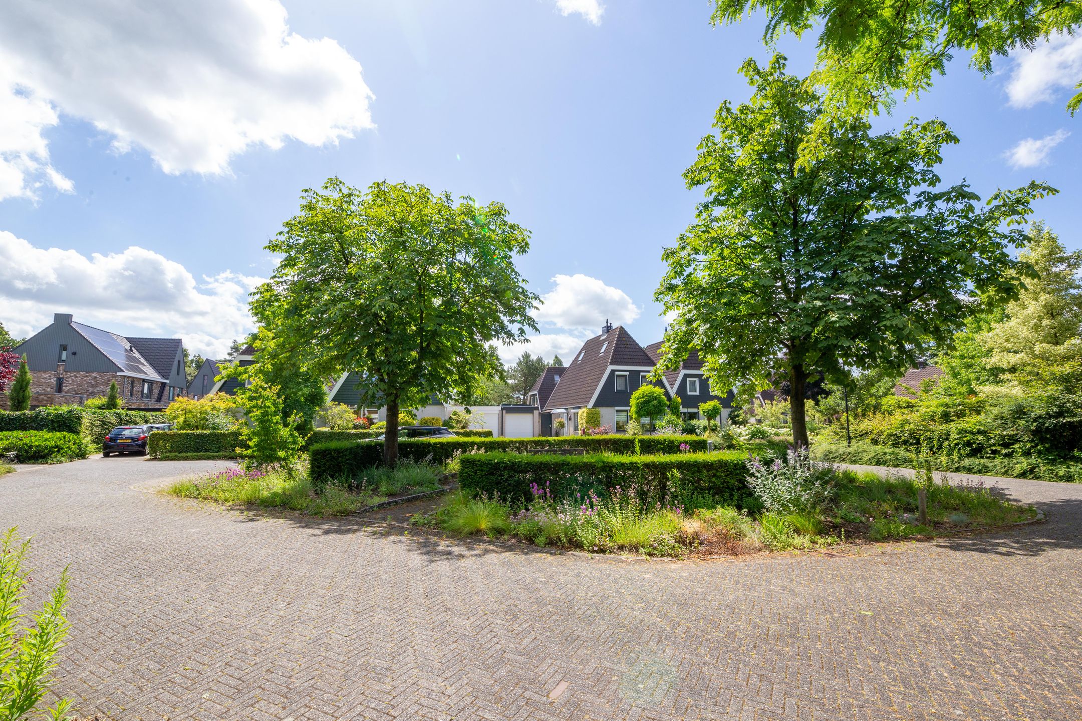 Photo 51 of Van Emsthof 8