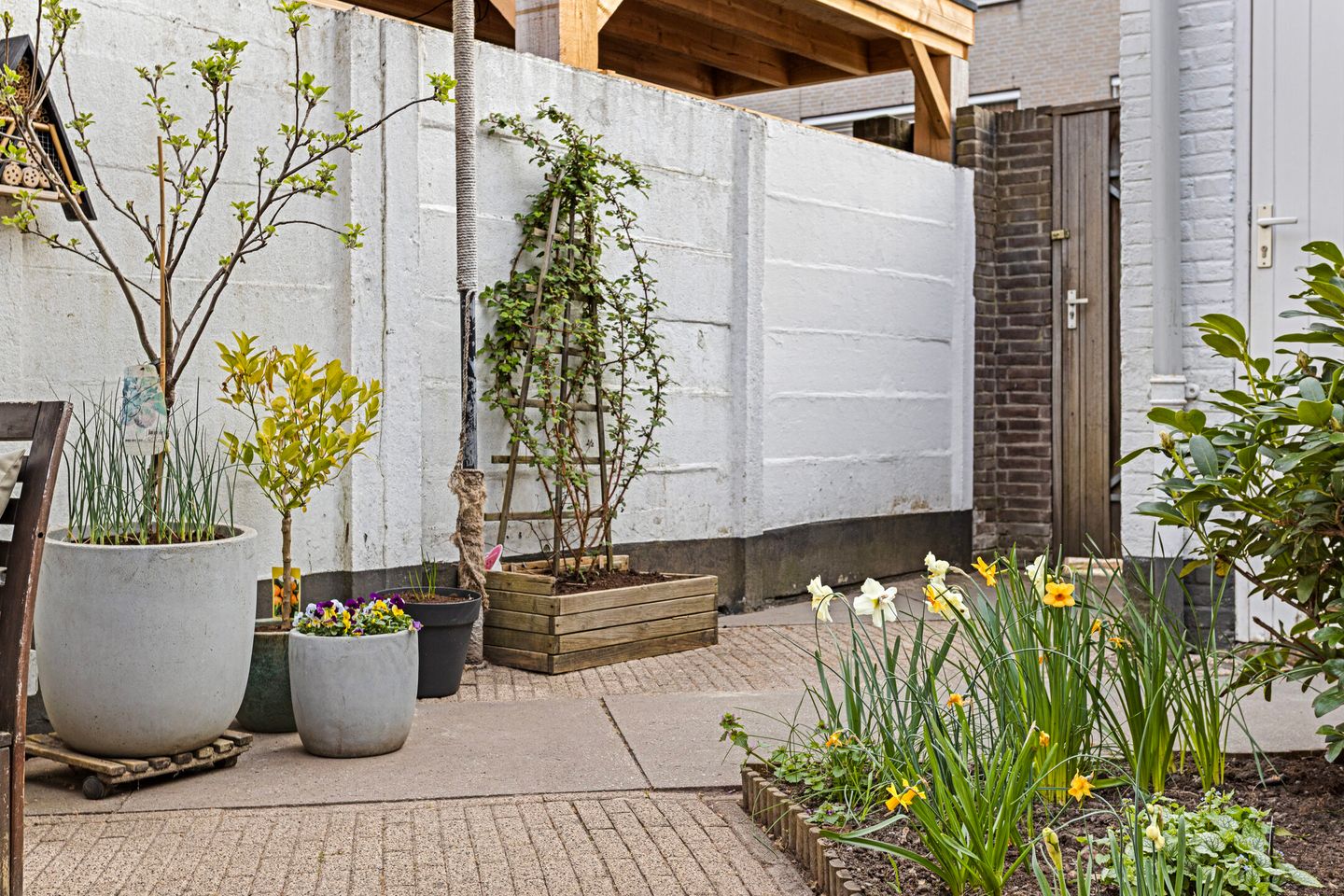 Foto 29 van Lodewijk Napoleonlaan 29