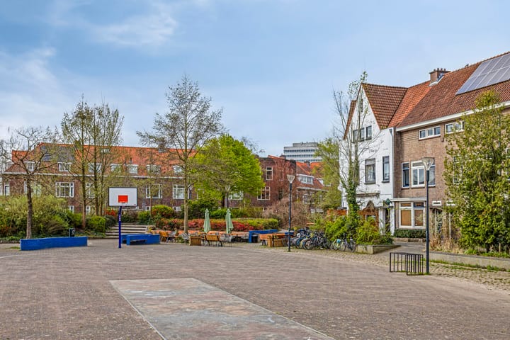 Foto 35 van Lodewijk Napoleonlaan 29